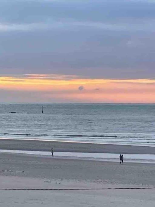 Au 154 Bis - Joli Appartement Avec Grande Terrasse Et Proche De La Plage A Malo Dunkirk Dış mekan fotoğraf